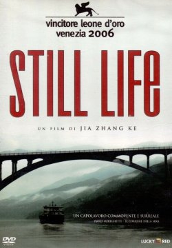 Still Life